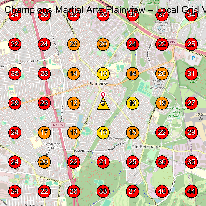 Champions Martial Arts Plainview GeoGrid visibility map for Martial Arts School in Plainview